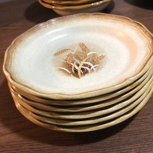Stoneware mikasa whole wheat🌾small plate set of 6